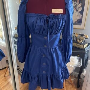 Chic Royal Blue Long Sleeve Dress